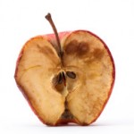 Rotten apple core image
