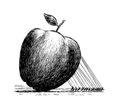 Common Core: The Root of New School Problems - Cuomo and Mulgrew: Birds of a Feather Fail Together