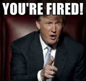 Trump-You're Fired Image